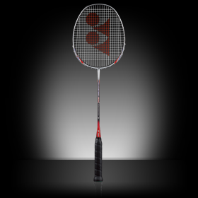 ns300